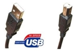 ACC USB 2.0 A-B CABLE BLACK (10FT) CUABMM10B