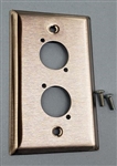 DIGIFLEX DGP-1G-STEEL-2D SINGLE GANG STAINLESS STEEL WALL PLATE, 2 D-SIZE HOLES COMPATIBLE WITH XLR / 1/4" / HDMI / USB